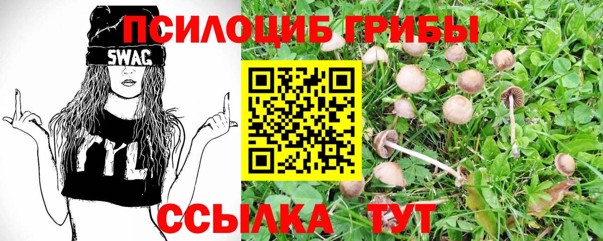 Егорьевск  Галлюциногенные грибы Psilocybine cubensis  купить   Вход с VPN 
